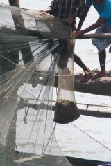 27-Emptying a Chinese Fishing Net